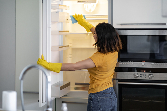Mastering The Art of Kitchen Appliance Care and Cleaning