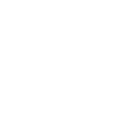 Deep Vacuuming & Dust Mite Removal 