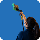 Curtain Cleaning