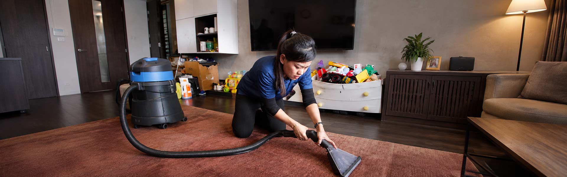 Carpet Cleaning